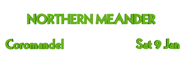 Image of coromandelnorthernmeander21.gif