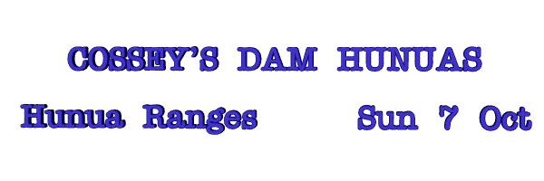 Image of cosseysdamhunuas12.gif