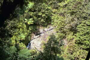 Image of cosseysgorgeq.jpg