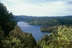 Image of cosseyslake2q.jpg