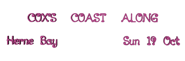 Image of coxscoastalong08.gif