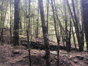 Image of crichton18e.jpg