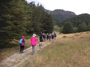 Image of crichton18g.jpg