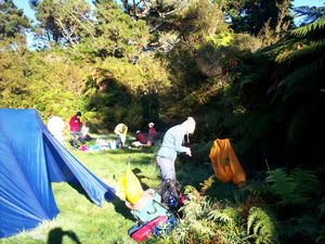 Image of crosbiesmay07ad.jpg