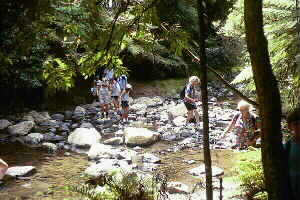 Image of crossingcosseysstreamq.jpg