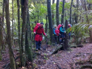 Image of dalys13a.jpg