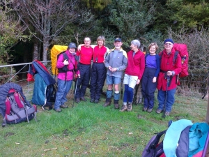 Image of dalys13b.jpg