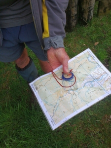 Image of dalys13c.jpg