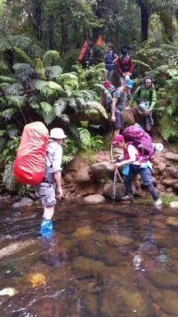 Image of dalysnov16dta.jpg