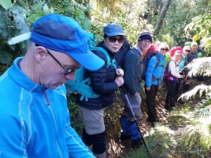 Image of dalysnov16dtd.jpg