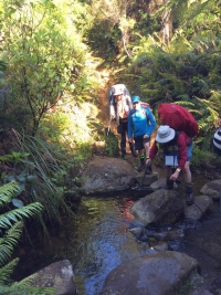 Image of dalysnov16k.jpg