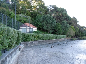 Image of db track.jpg