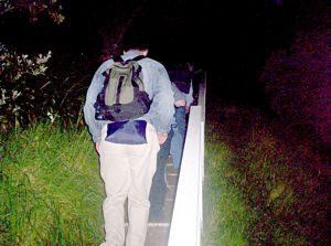 Image of devonportsep06austeps.jpg