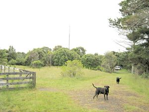 Image of dfwoodhill07aclookout.jpg