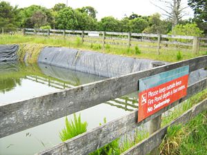 Image of dfwoodhill07adpool.jpg