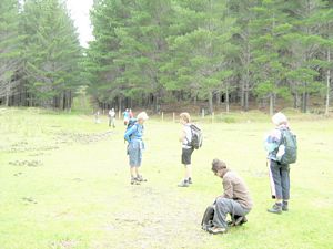 Image of dfwoodhill07bajunction.jpg