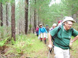 Image of dfwoodhill07bdtrack.jpg