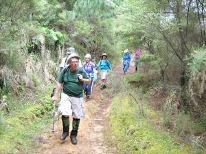 Image of dfwoodhill07betrack.jpg