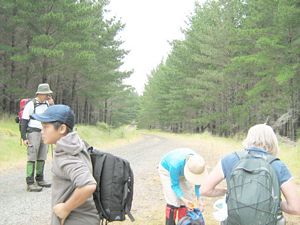 Image of dfwoodhill07capoggy.jpg