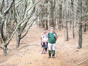 Image of dfwoodhill07cdtrack.jpg