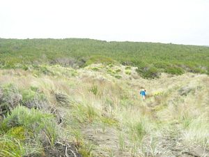 Image of dfwoodhill07cetrack.jpg