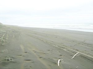 Image of dfwoodhill07cibeach.jpg