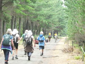 Image of dfwoodhill07efhorses.jpg