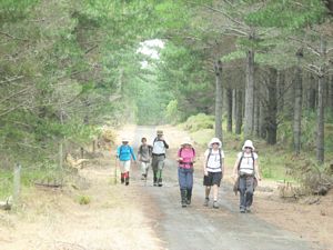 Image of dfwoodhill07ehtwins.jpg