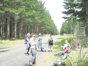 Image of dfwoodhill07fabreak.jpg