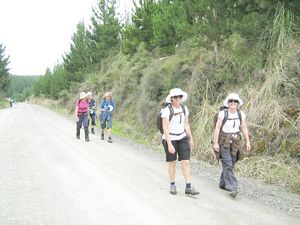 Image of dfwoodhill07fetwins.jpg