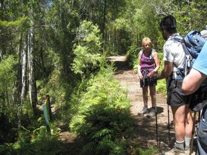 Image of dheaphyn.jpg