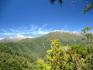 Image of dheaphyr.jpg