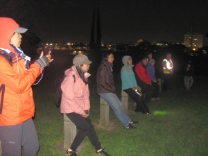 Image of domainnightwalk19b.jpg