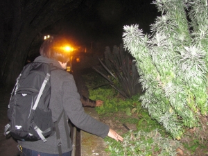 Image of domainnightwalk19d.jpg