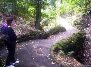 Image of domainoct05bush.jpg