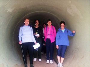 Image of domainoct05bushtunnel2.jpg