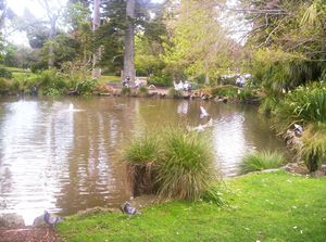 Image of domainoct05duckpond2.jpg