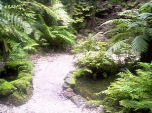 Image of domainoct05fernery4.jpg