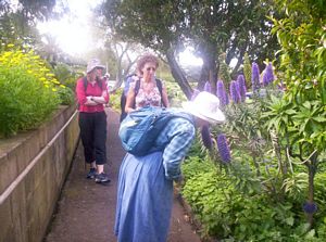 Image of domainoct05scentedgarden2.jpg