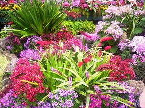 Image of domainoct05wintergarden.jpg