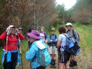 Image of domevalley14b.jpg