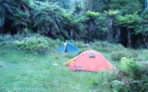 Image of dsc06330.jpg