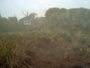 Image of dsc06610.jpg