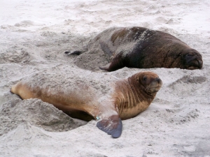 Image of dscf0150.jpg