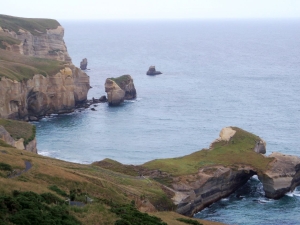 Image of dscf0207.jpg