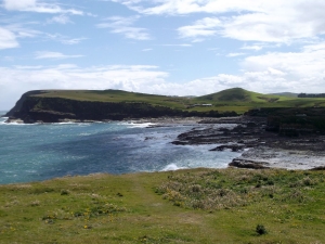 Image of dscf0405.jpg