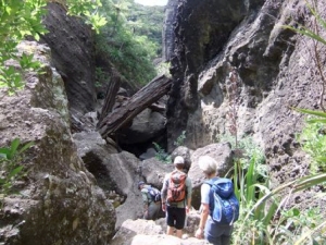 Image of dscf7155.jpg