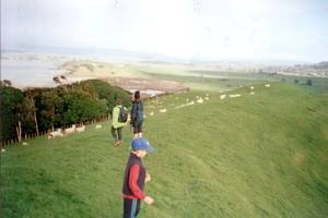 Image of duder02ridge.jpg