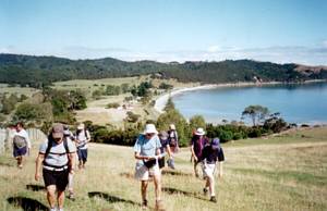 Image of duder03duderbeach2.jpg