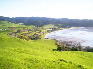 Image of duder05duderbeach.jpg